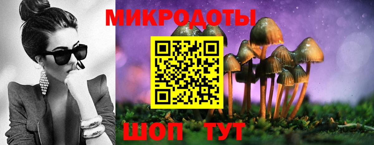 Псилоцибиновые грибы Psilocybe Соликамск